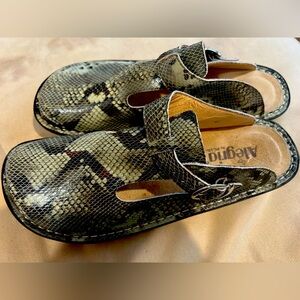 Allegria slip on clogs! My favorite Birk-like shoe!